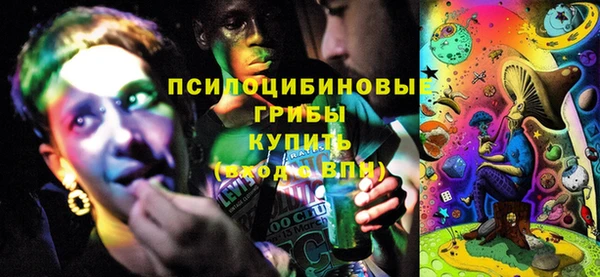 молекула духа Аркадак