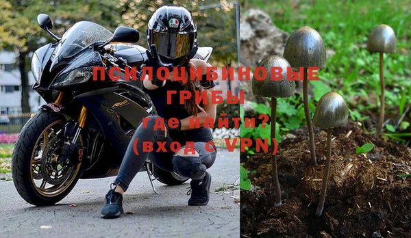 Альфа ПВП Алексин