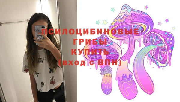 молекула духа Аркадак