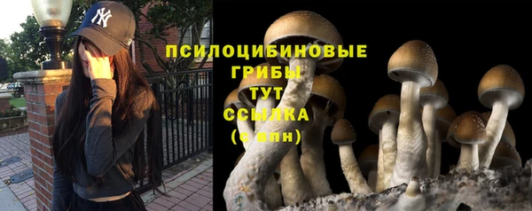 дурь Арсеньев