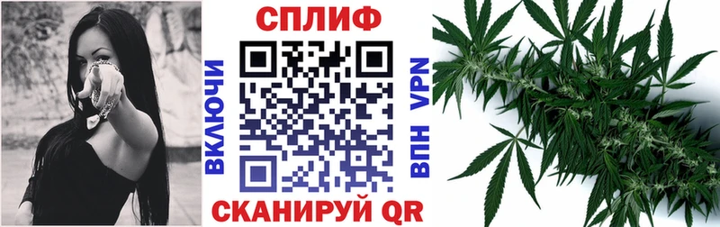 Бошки марихуана конопля Пролетарск